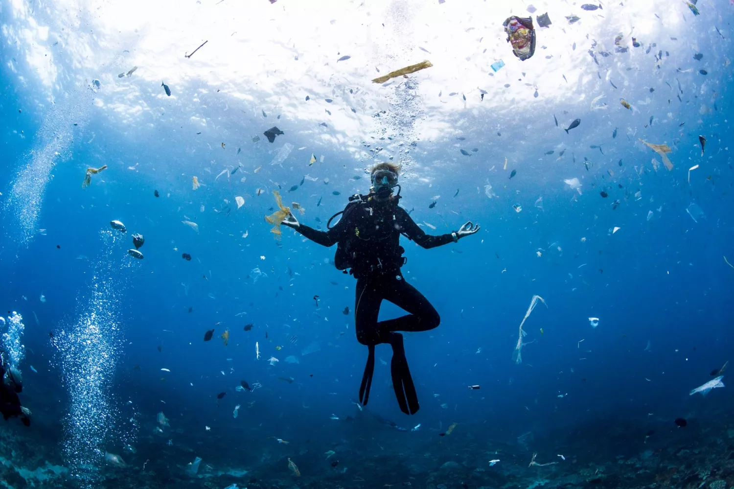 В современном обществе целый океан. Экология океана. Загрязнение мирового океана. Под водой. Пластик в океане.